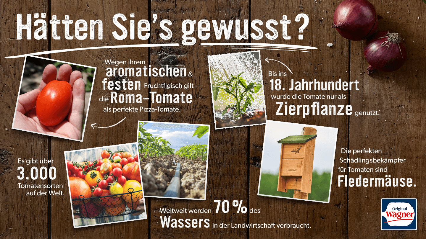 Qualität Tomaten