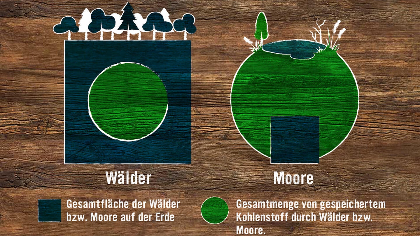 Infografik
