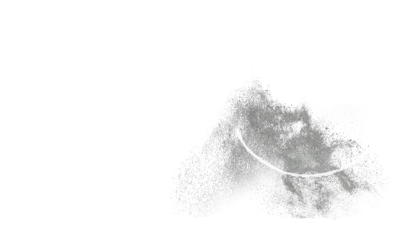 2010