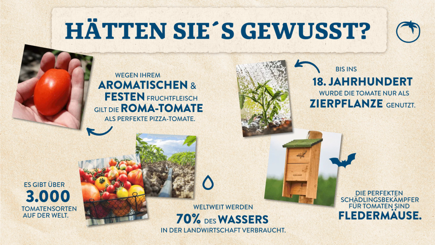 WAG_Qualität_Zutaten_Tomaten_Grafik