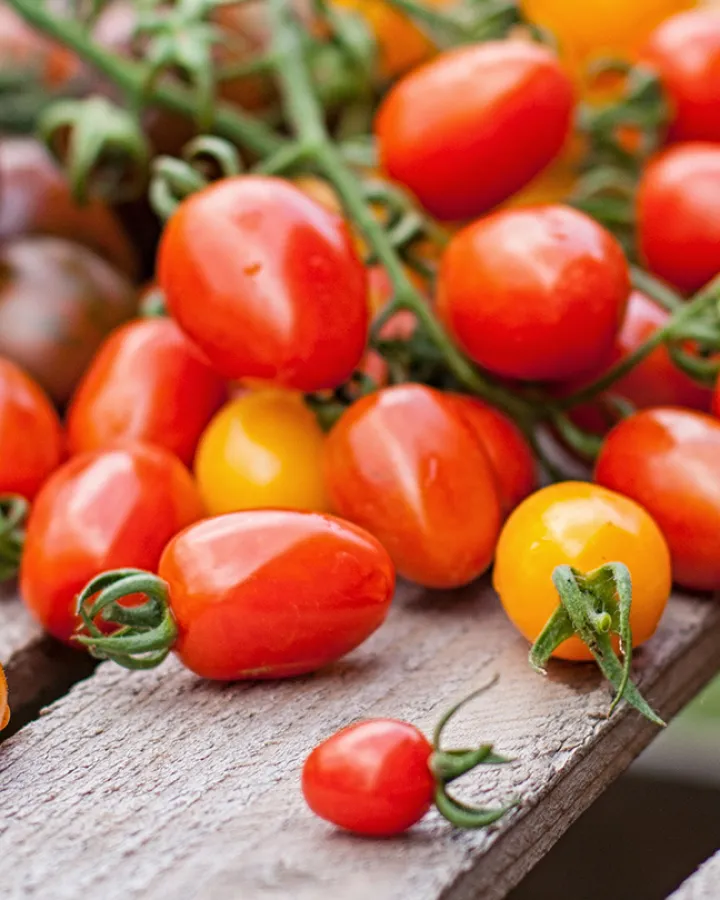 hero-tomaten_mobile