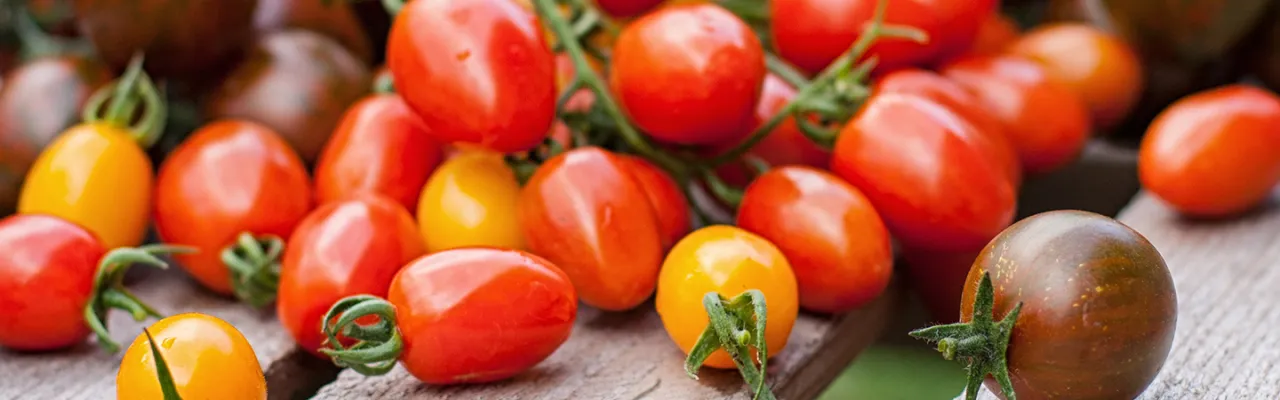 Tomaten